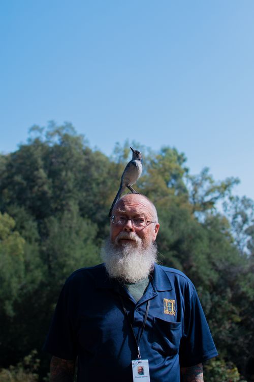 Photo of a Man With Bird on His Head · Free Stock Photo