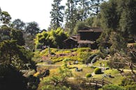 People Roaming Around the Garden