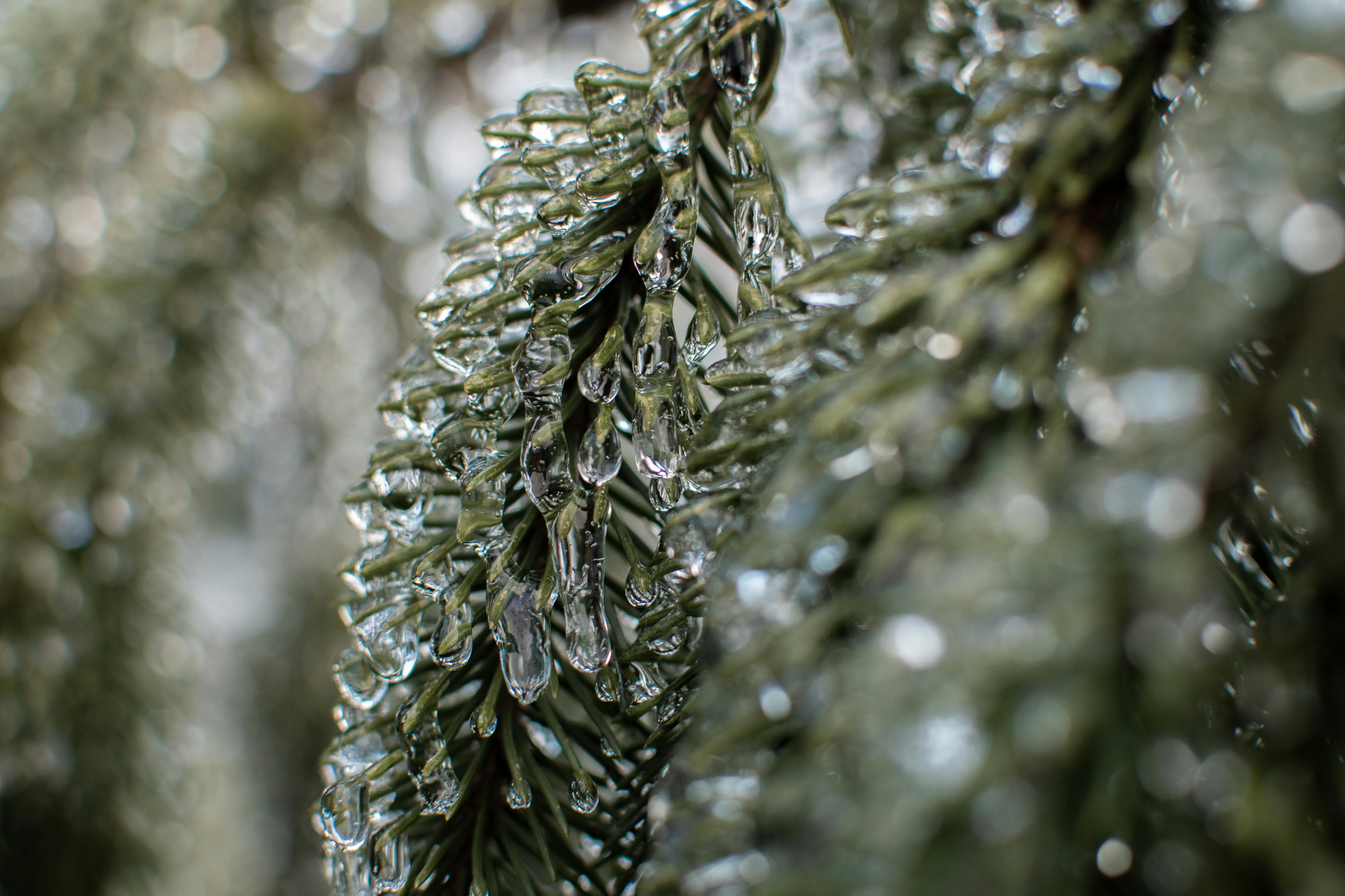 Ice Storm Impacts: Prepare Now for the Devastating Effects on Your Community!