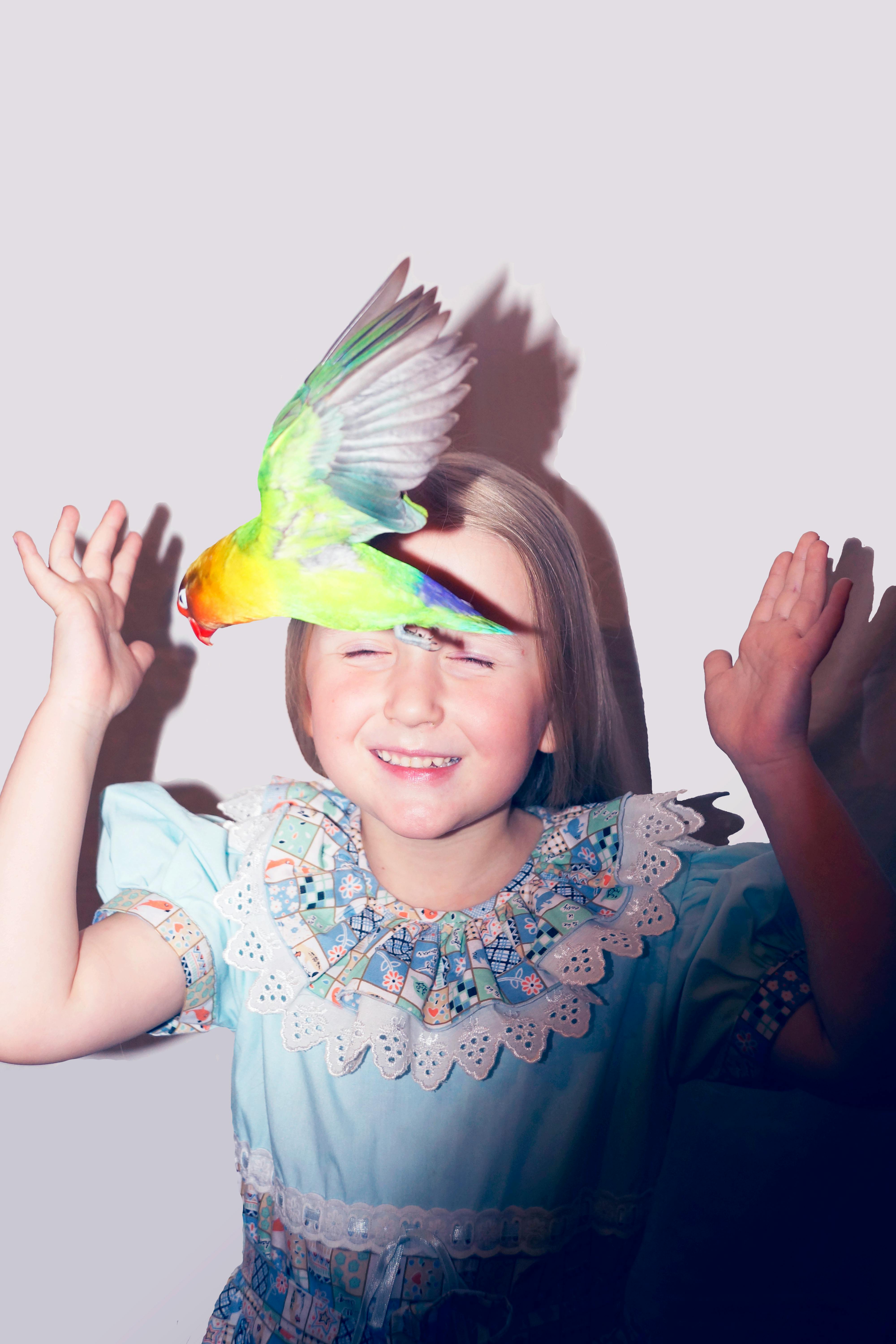 Bird Flies In front of a Child · Free Stock Photo
