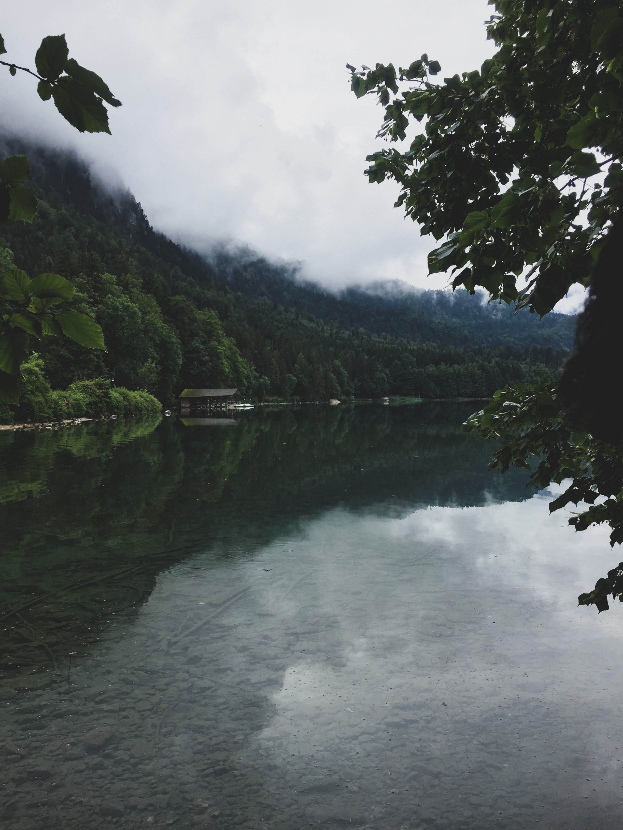Green Trees Beside a River Under Cloudy Sky · Free Stock Photo