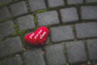 鹅卵石人行道上长满青苔，上面放着一个红色心形枕头，写着“你并不孤单”的字样