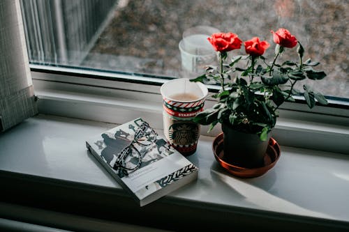 Coffee in Paper Cup by Eyeglasses and Book on Windowsill