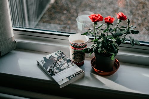 Rose Rouge Sur Livre Blanc