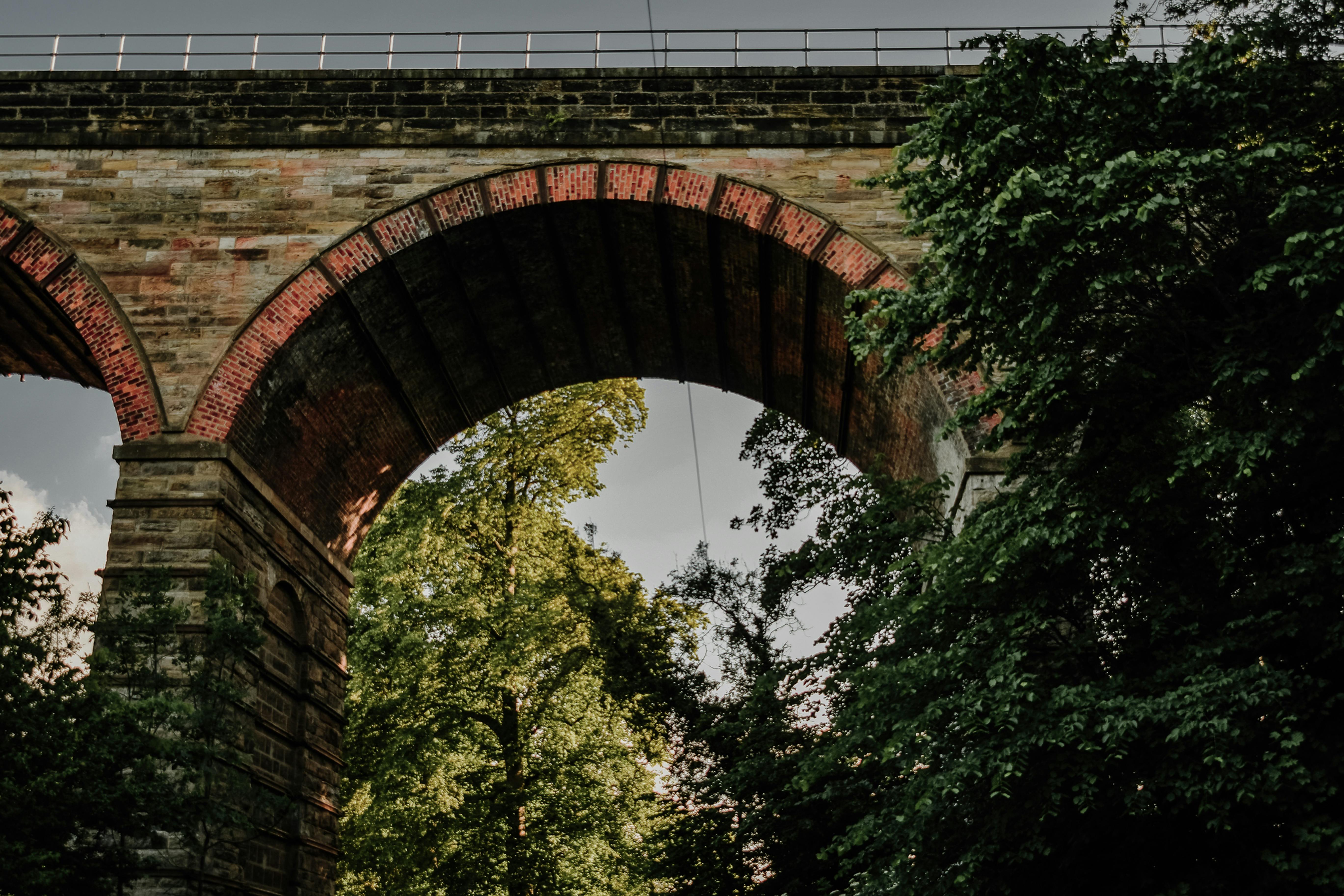 Graffiti under Bridge · Free Stock Photo