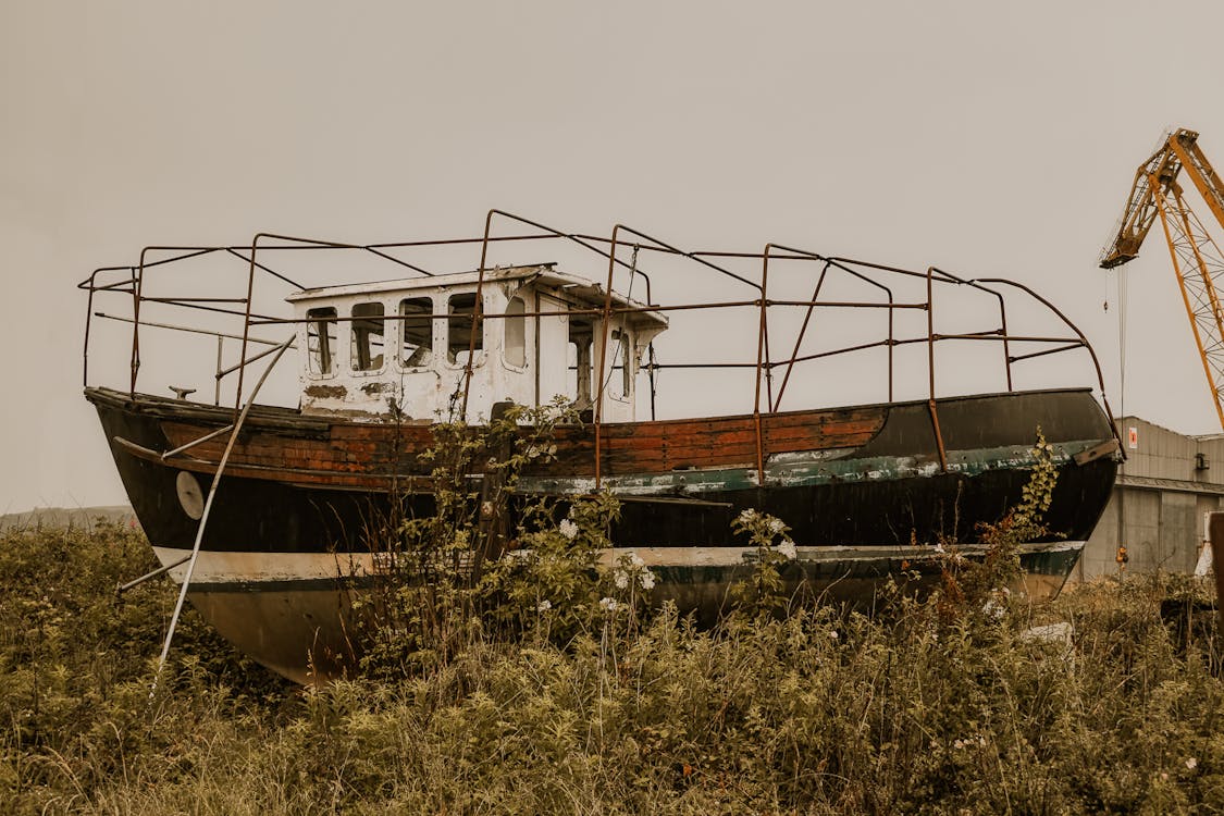 Darmowe zdjęcie z galerii z łódź, opuszczony, pastwisko