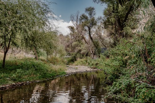 反射, 山, 川の無料の写真素材