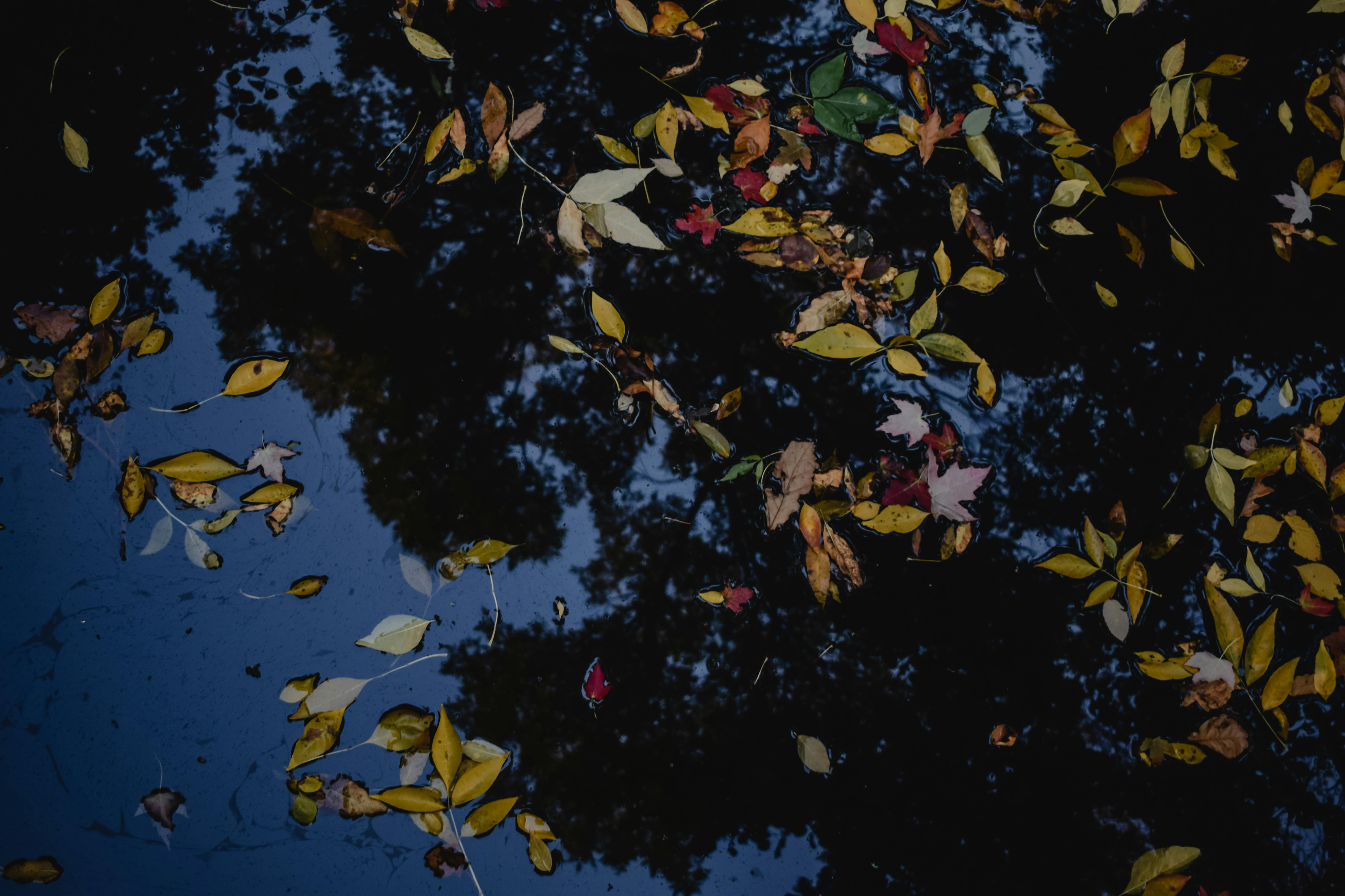 Vue panoramique du Québec