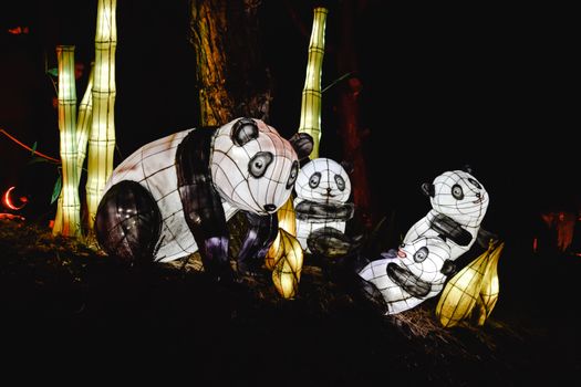 Artistic panda lantern installation in Montreal's vibrant night garden setting, featuring bamboo and glowing colors.