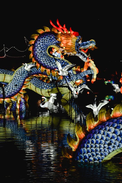 Free Dragon Festival During Nighttime Stock Photo