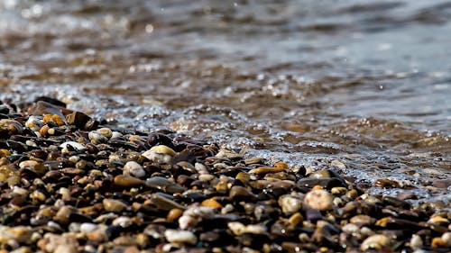 Free Stones Near the Beach Seashore during Day Time Stock Photo