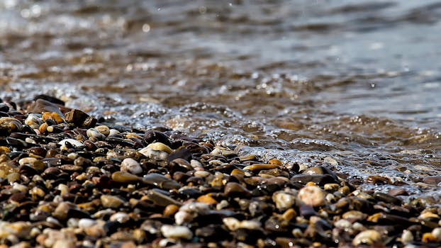 Stones Near the Beach Seashore during Day Time