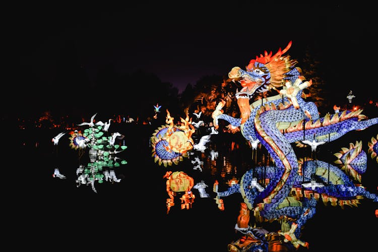 Dragon Festival During Nighttime