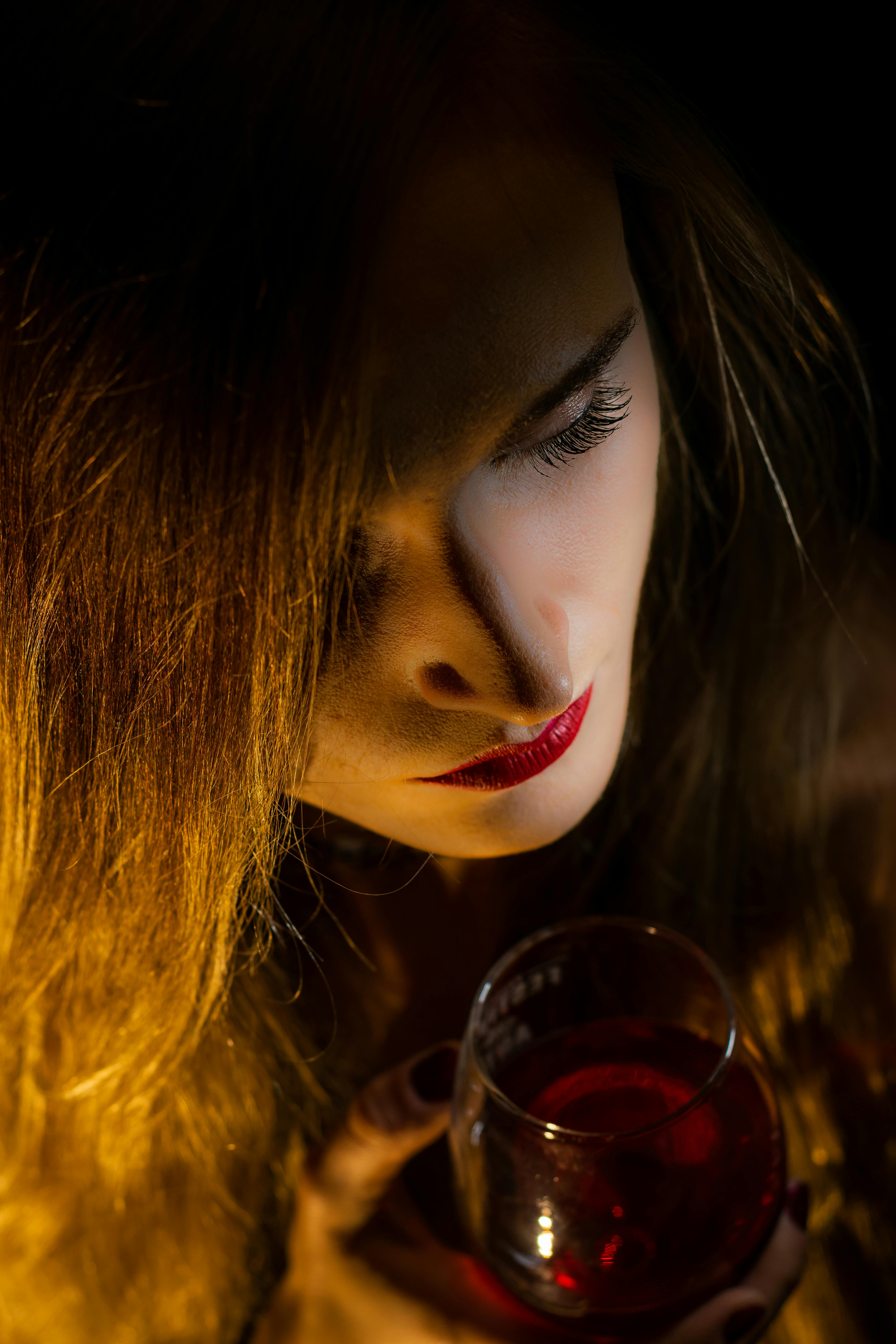 Countryside estate landscape similar to British royal shooting grounds