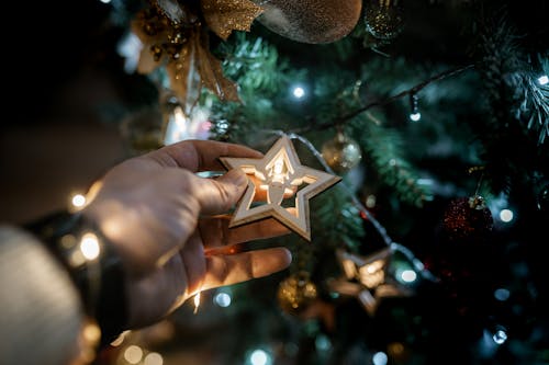 Free Crop anonymous male demonstrating star decoration with deer symbol on fir tree with shiny garland during New Year holiday Stock Photo