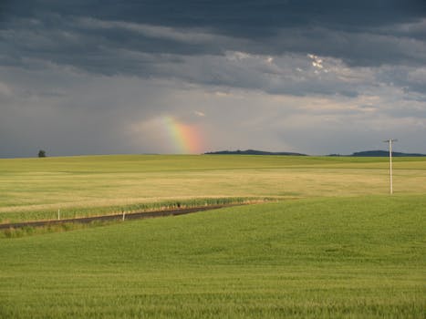 A beautiful rainbow arcs over a vast grassy field under dramatic cloudy skies.