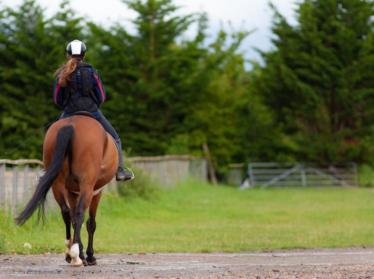 Jockey Riding Horse