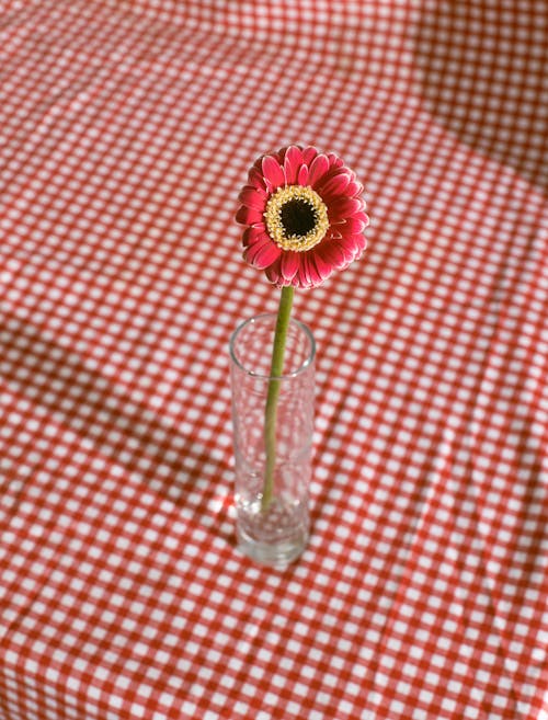 Flor Roja En Un Jarrón Sobre La Mesa