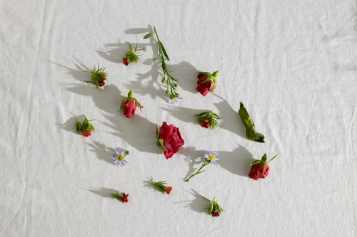 Free Top view of delicate fresh pink roses and tender chamomile flowers placed on white fabric Stock Photo