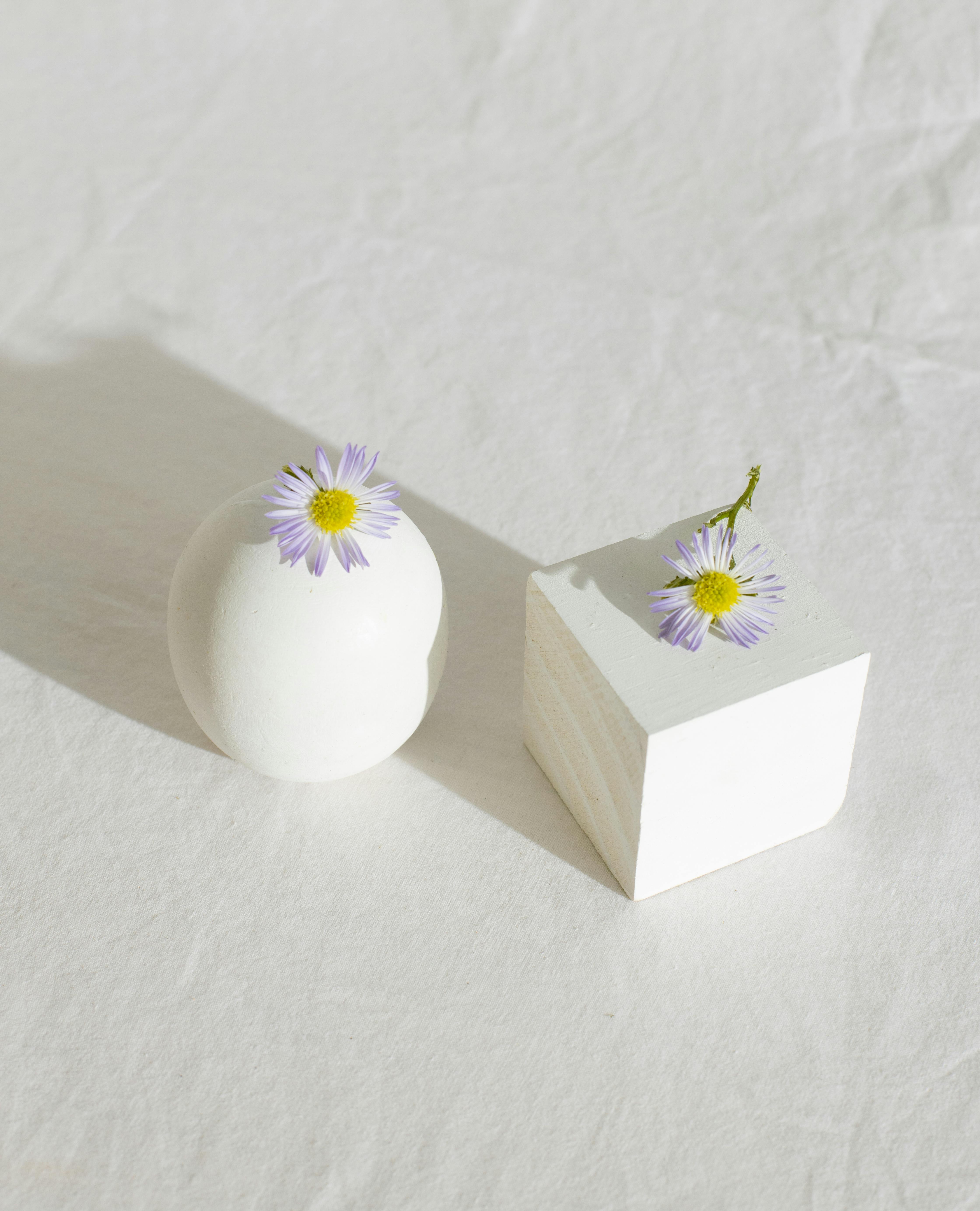 From above of gentle fragile chamomile flowers with tender petals placed on sphere and cube