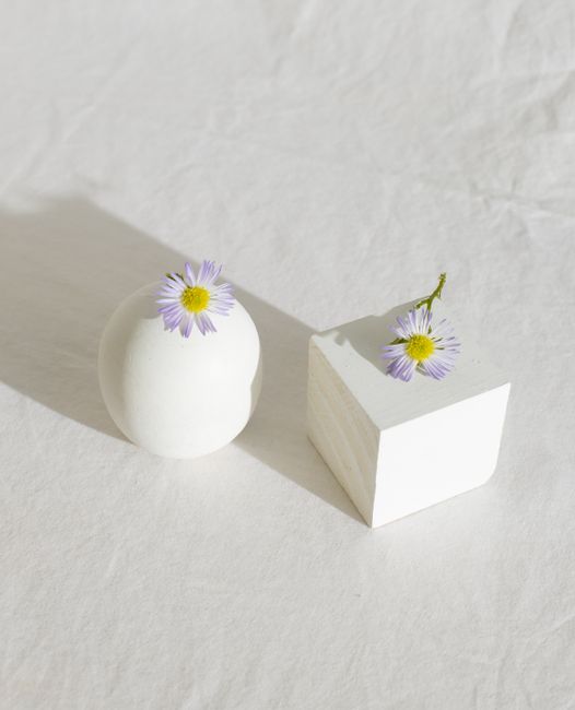 From above of gentle fragile chamomile flowers with tender petals placed on sphere and cube