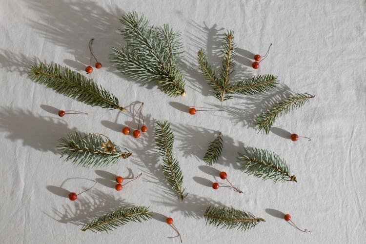 Coniferous Branches Placed Near Holly Berries