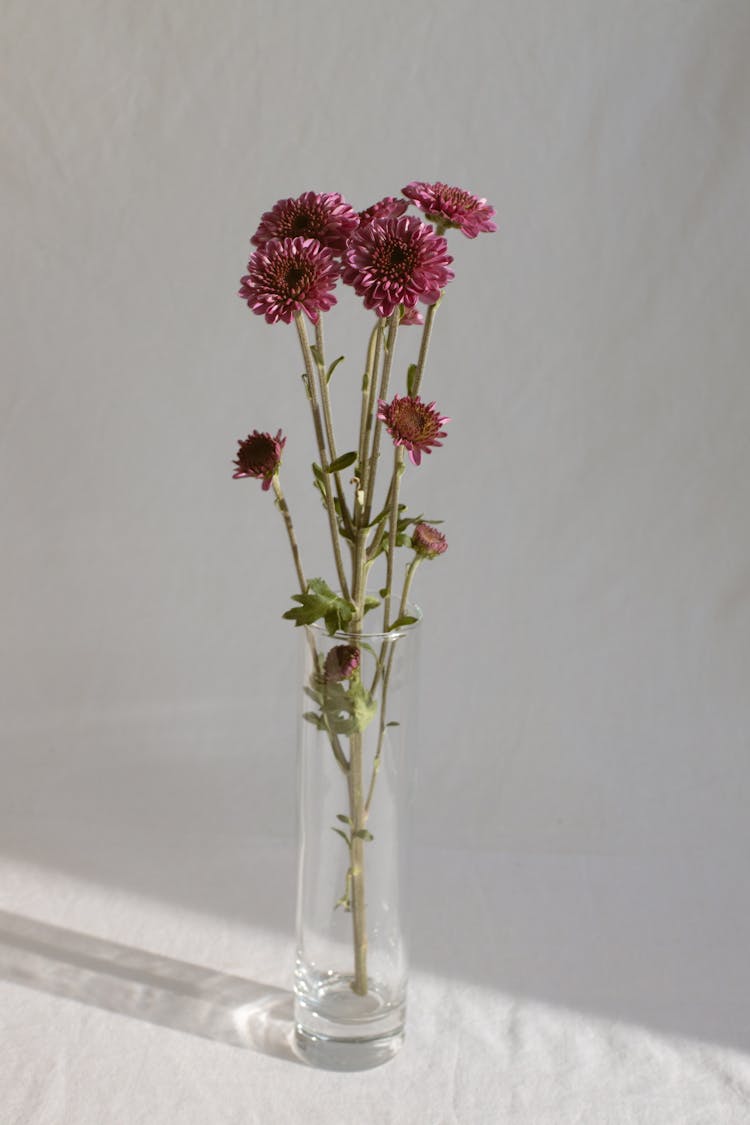 Gentle Fresh Flowers In Glass Vase In Daylight