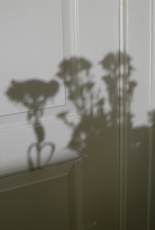 Shadow of blossoming flowers on door