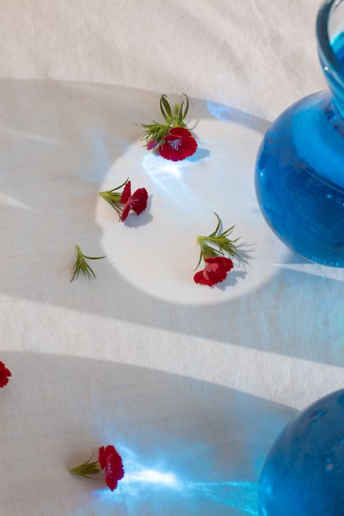 Free From above of art composition with transparent glassware filled with blue water reflecting on white fabric with scattered blossoms Stock Photo