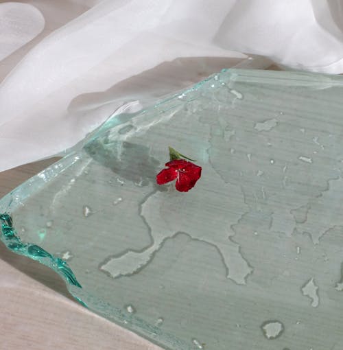 High angle of minimalist floral bud on piece of glass above white fabric in sunlight