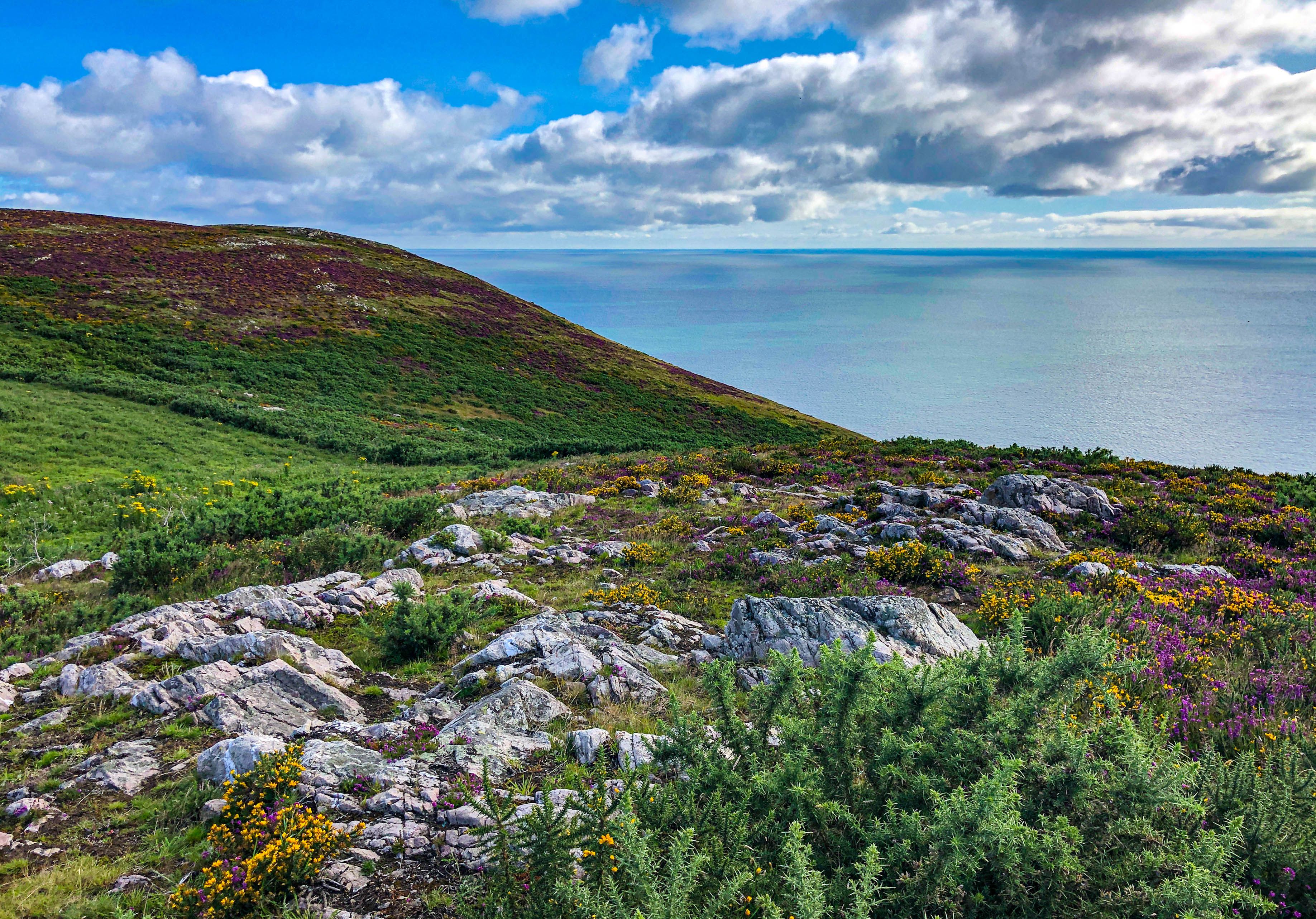 Breathtaking view of lush hillside and rocky coast under a vibrant sky.