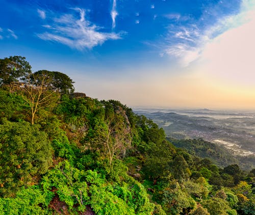 Scenic landscape of vibrant green lush trees growing in forest on mountain slope located in tropical country under cloudy sunset sky