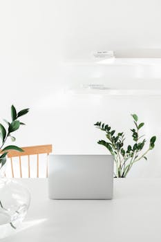 A minimalist workspace featuring a closed laptop, houseplants, and a wooden chair on a white desk.