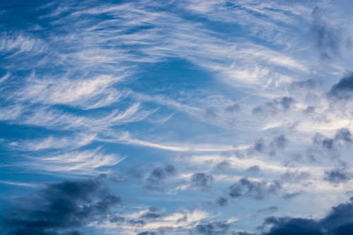 Základová fotografie zdarma na téma atmosféra, cirrus, mraky