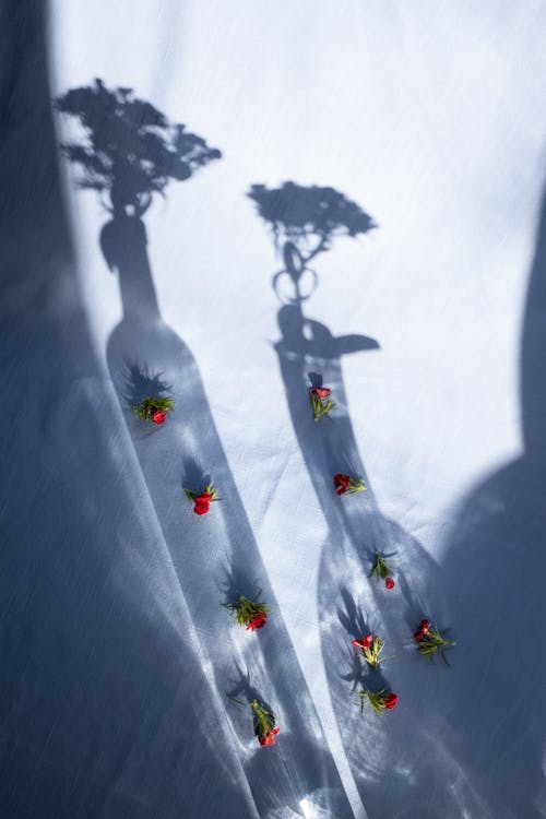 Red flower buds on blue surface in vase shadows