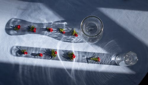 Red flower buds in shadows on blue surface