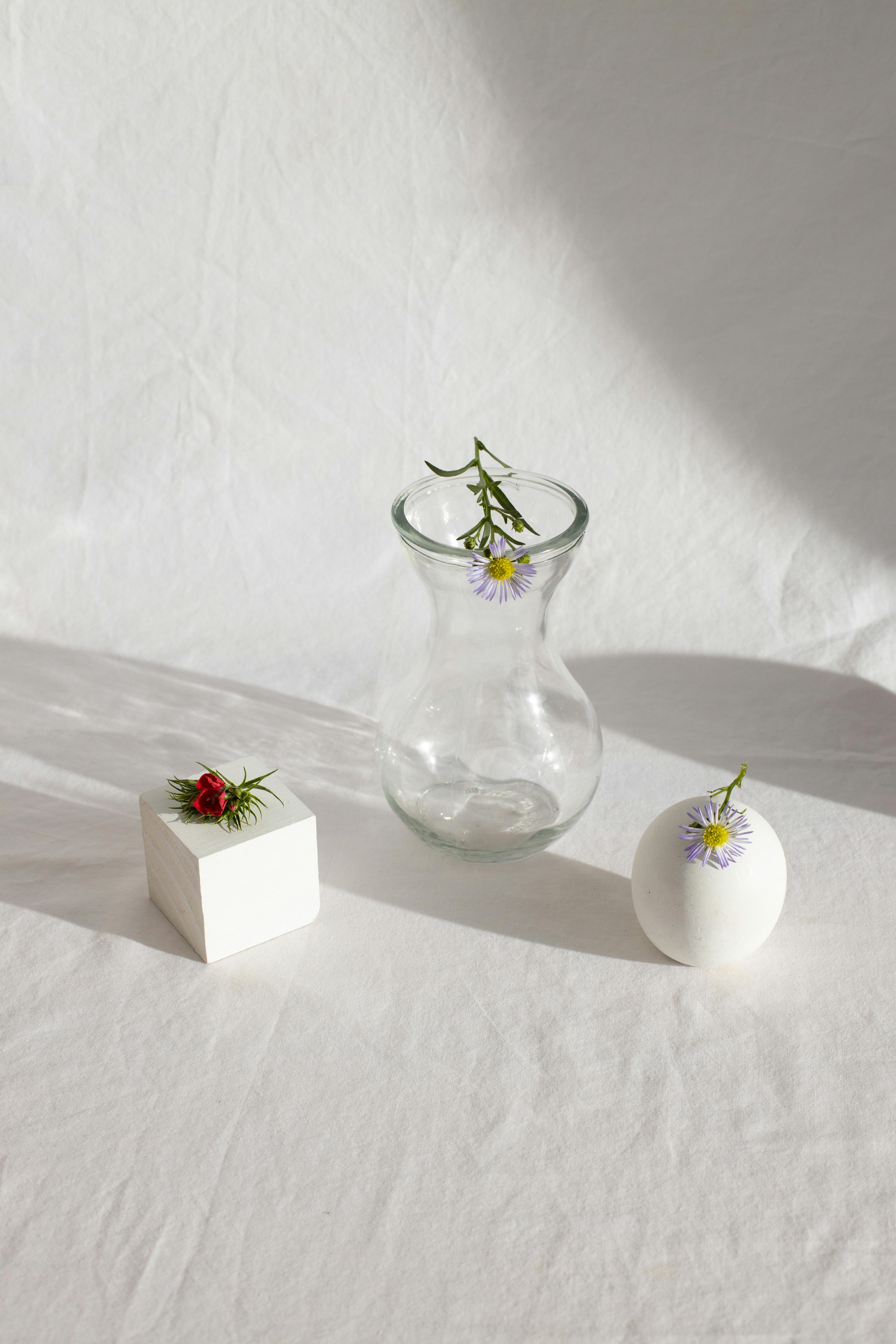 From above of small gentle flowers composed with white geometric figures and simple glass vase placed on white tablecloth