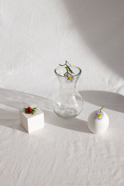From above of small gentle flowers composed with white geometric figures and simple glass vase placed on white tablecloth