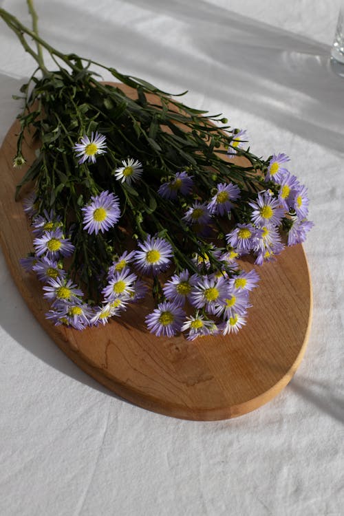 From above bunch of fresh delicate European Michaelmas daisy flowers with lilac petals and yellow pestle placed on wooden board in sunlight