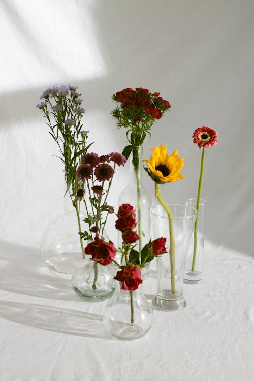 Composition of various delicate flowers in glass vases placed on white tablecloth