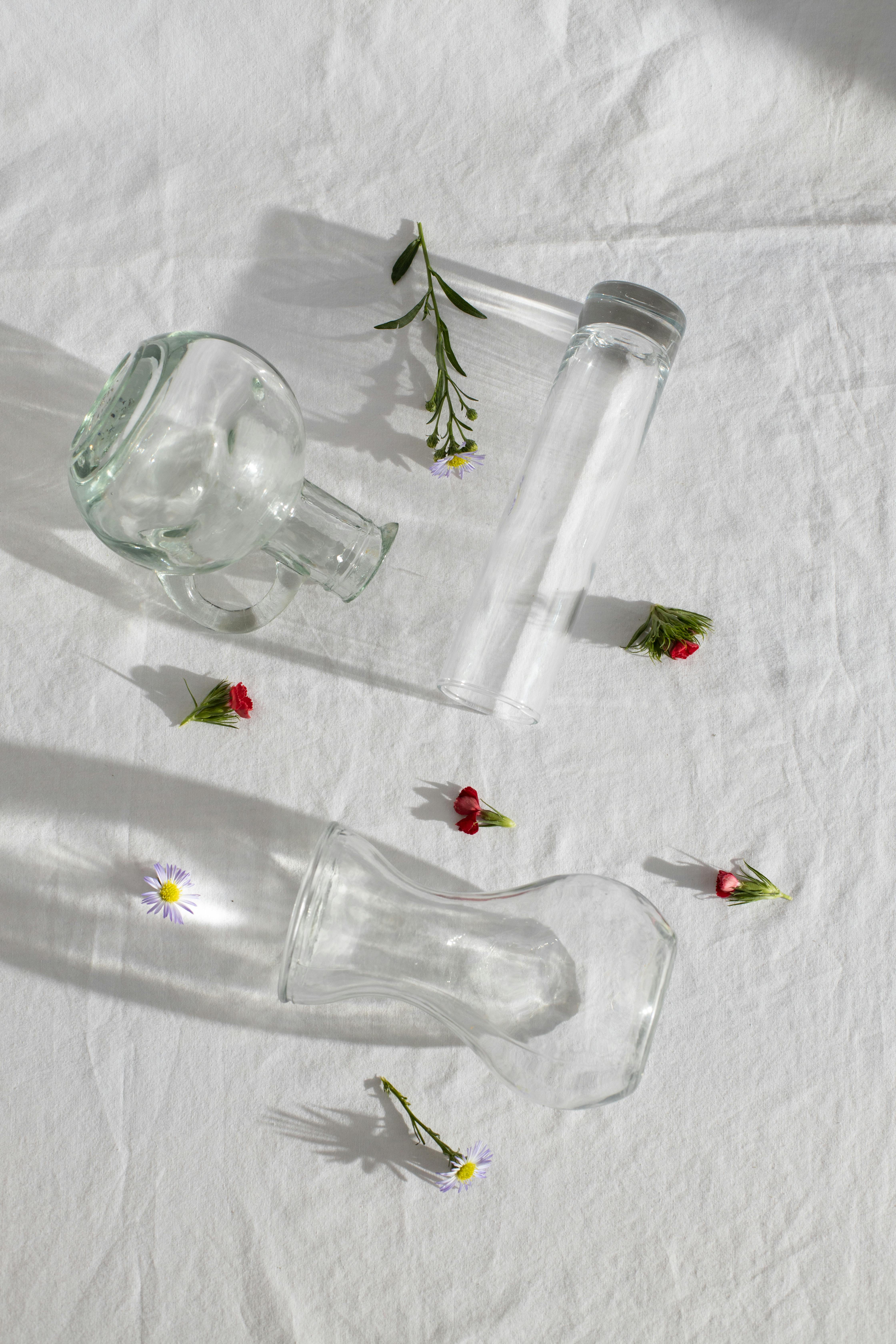 different glass vases scattered on table near tender flower heads