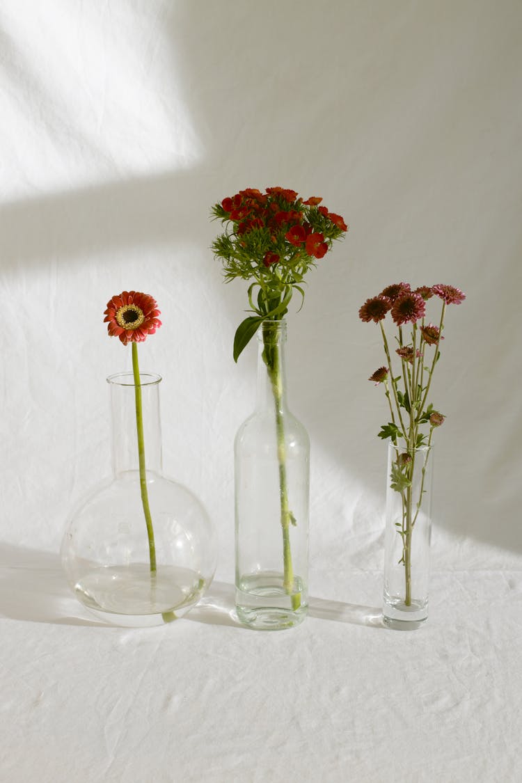 Gerbera With Chrysanthemum Morifolium And Dianthus Caryophyllus Flowers In Elegant Vases