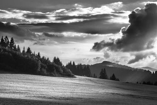 Black and White Scenery with a Field