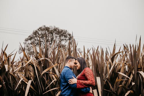 Content diverse couple embracing near lush plants in countryside