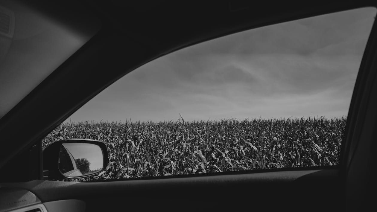 Black and white view from the car window