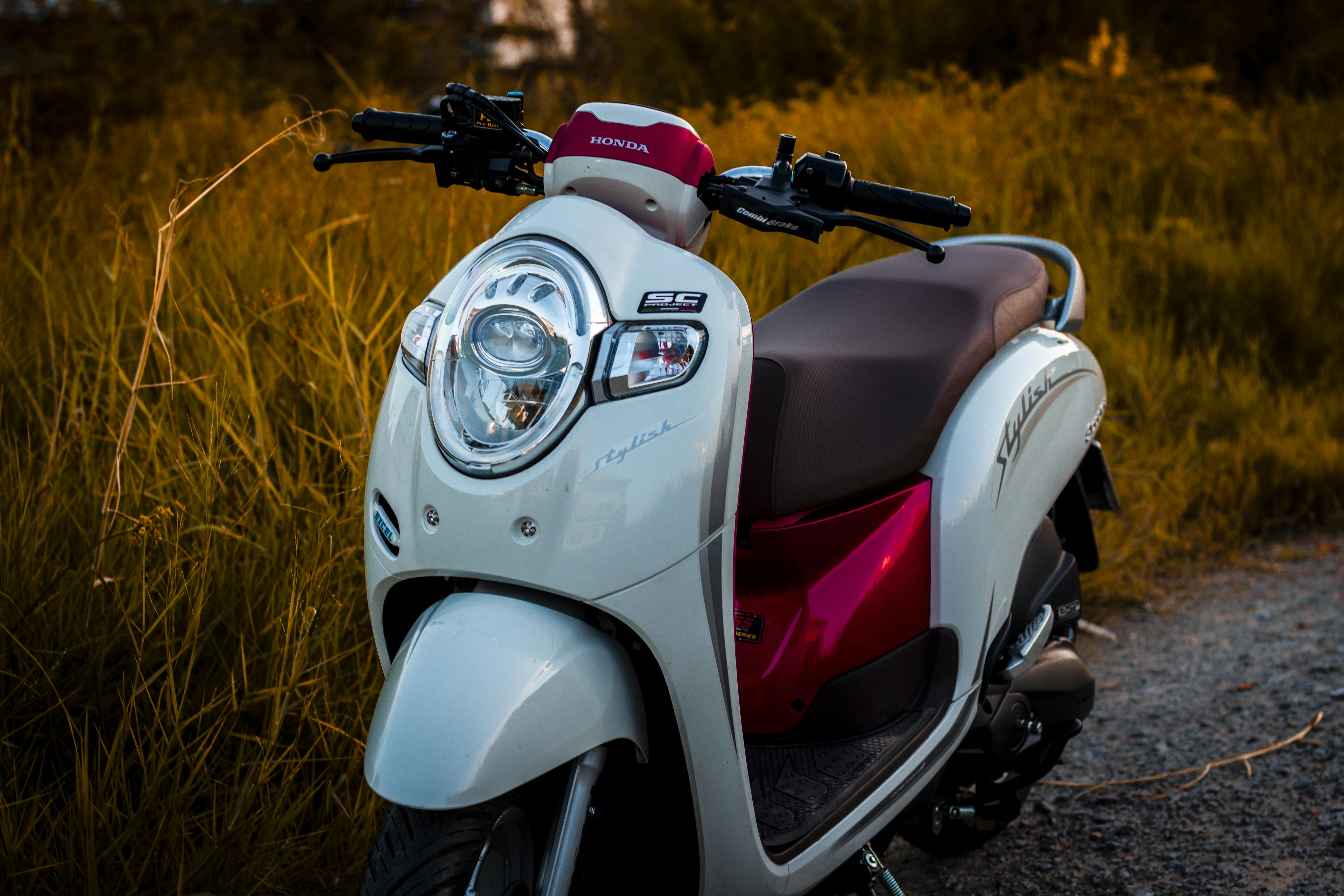 Free Classic motor scooter parked in a grassy field during sunset, showcasing retro charm and vibrant colors. Stock Photo