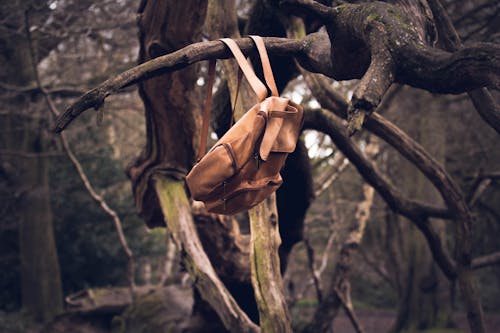 Brown Knapsack Hanging from a Branch
