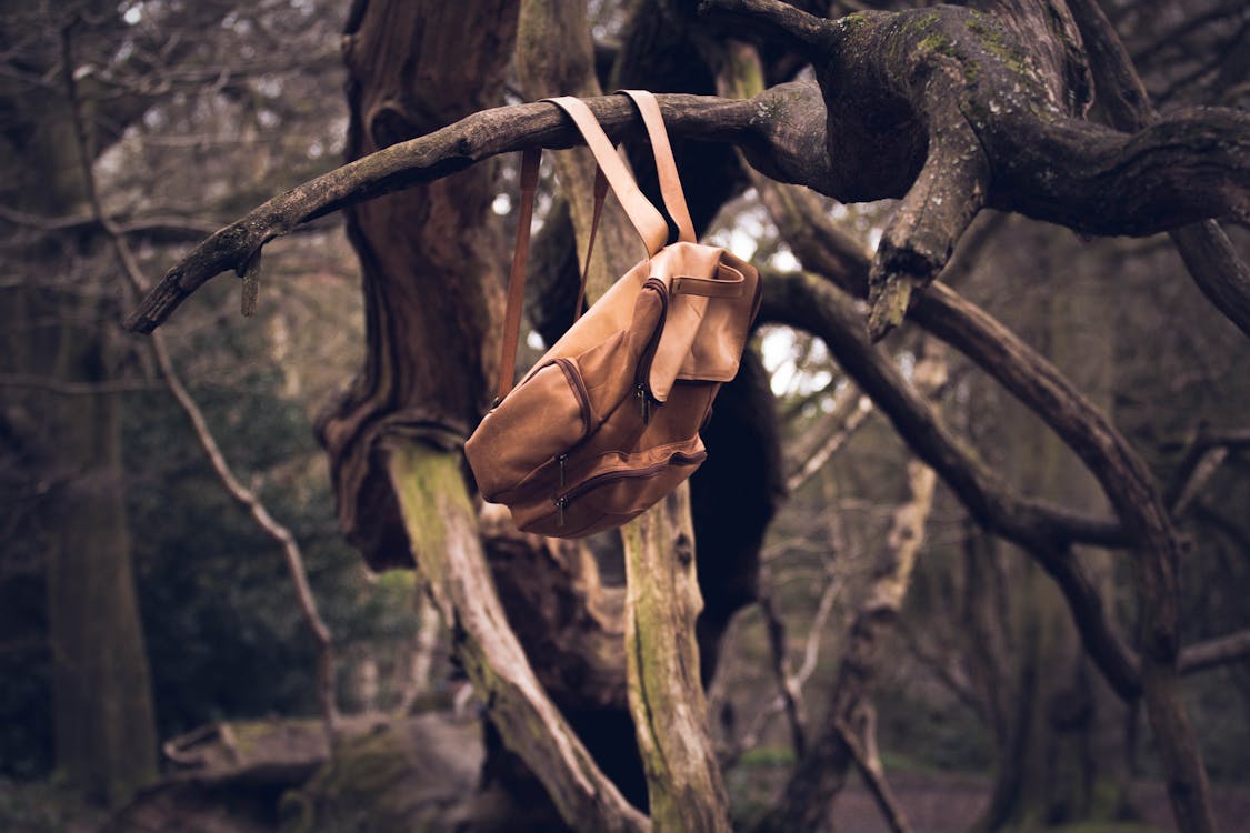 Free Brown Knapsack Hanging from a Branch Stock Photo