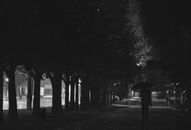 Grayscale Photo of People Walking on Park
