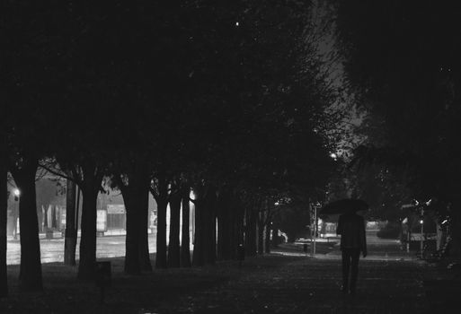 Grayscale Photo of People Walking on Park